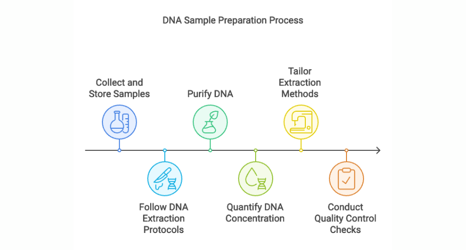 DNA Sample preparation process