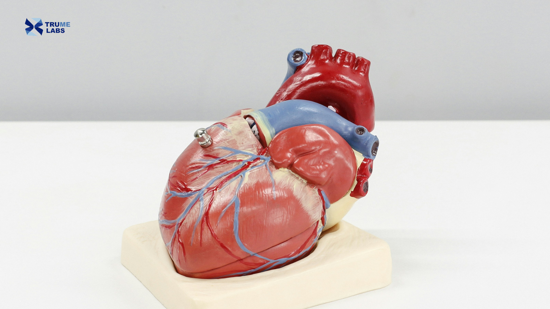 a heart