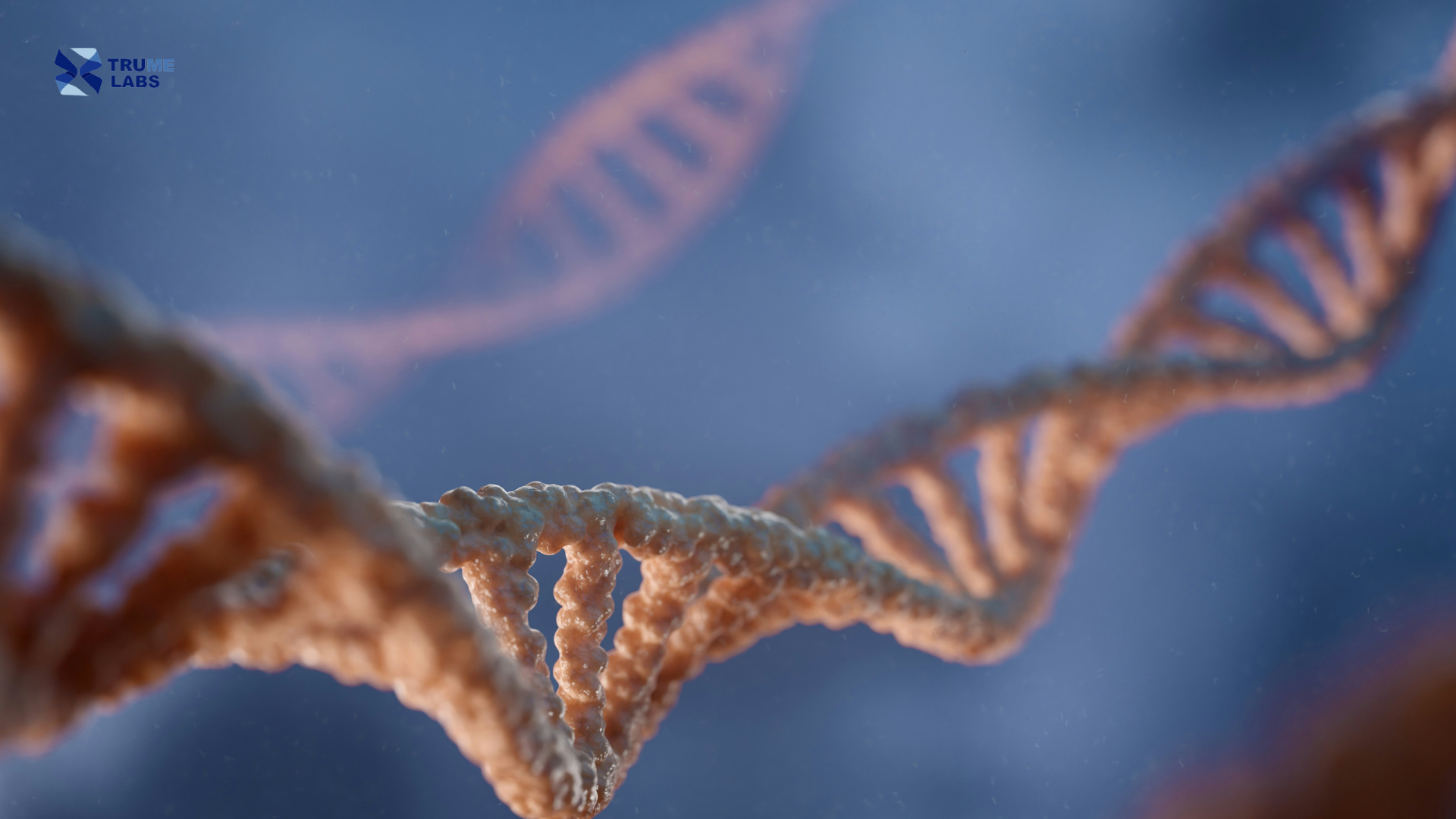 mthfr gene mutation symptoms