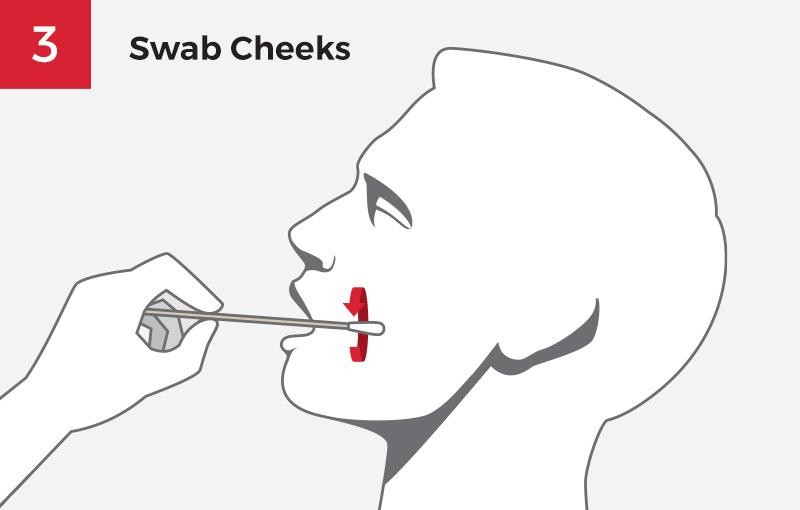 collecting saliva sample