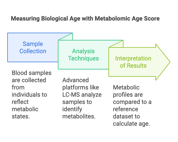 measure biological age with metabolomic age score